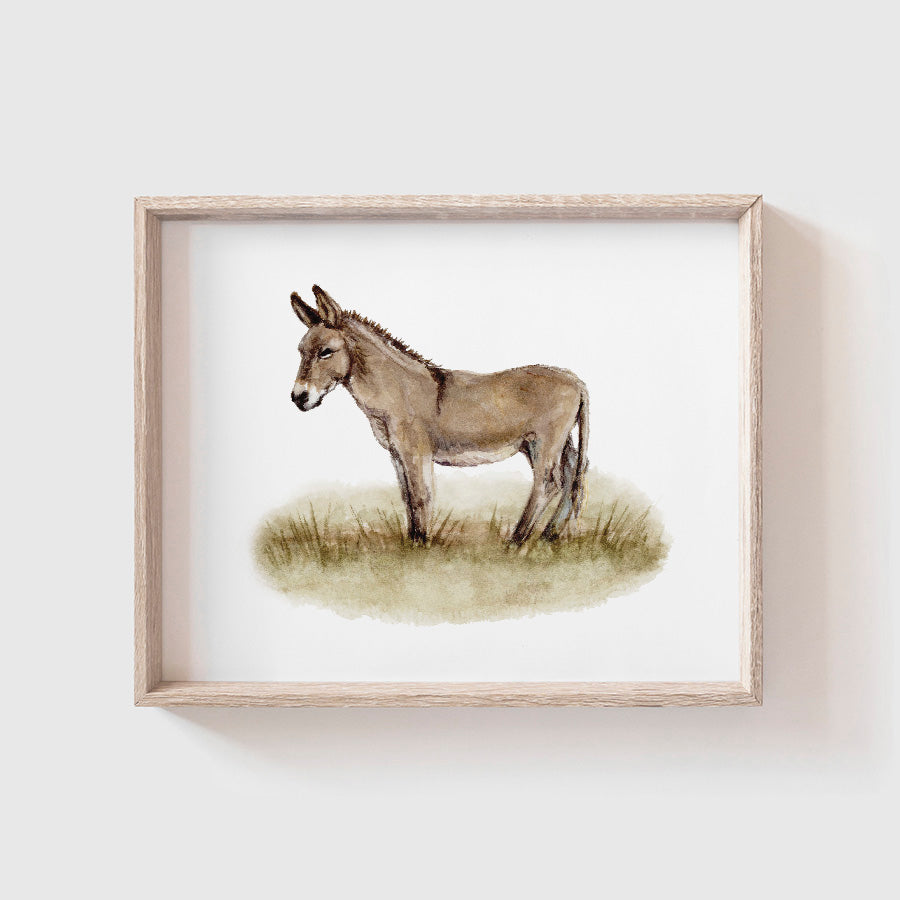 Donkey Art Print