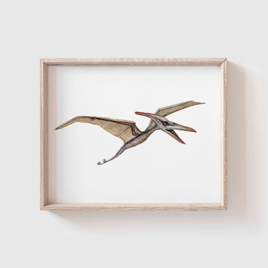 Pterodactyl Art Print