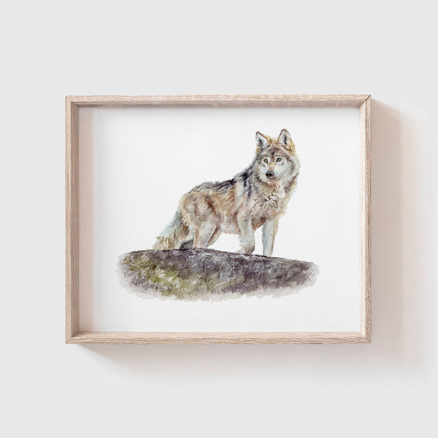 Wolf Art Print