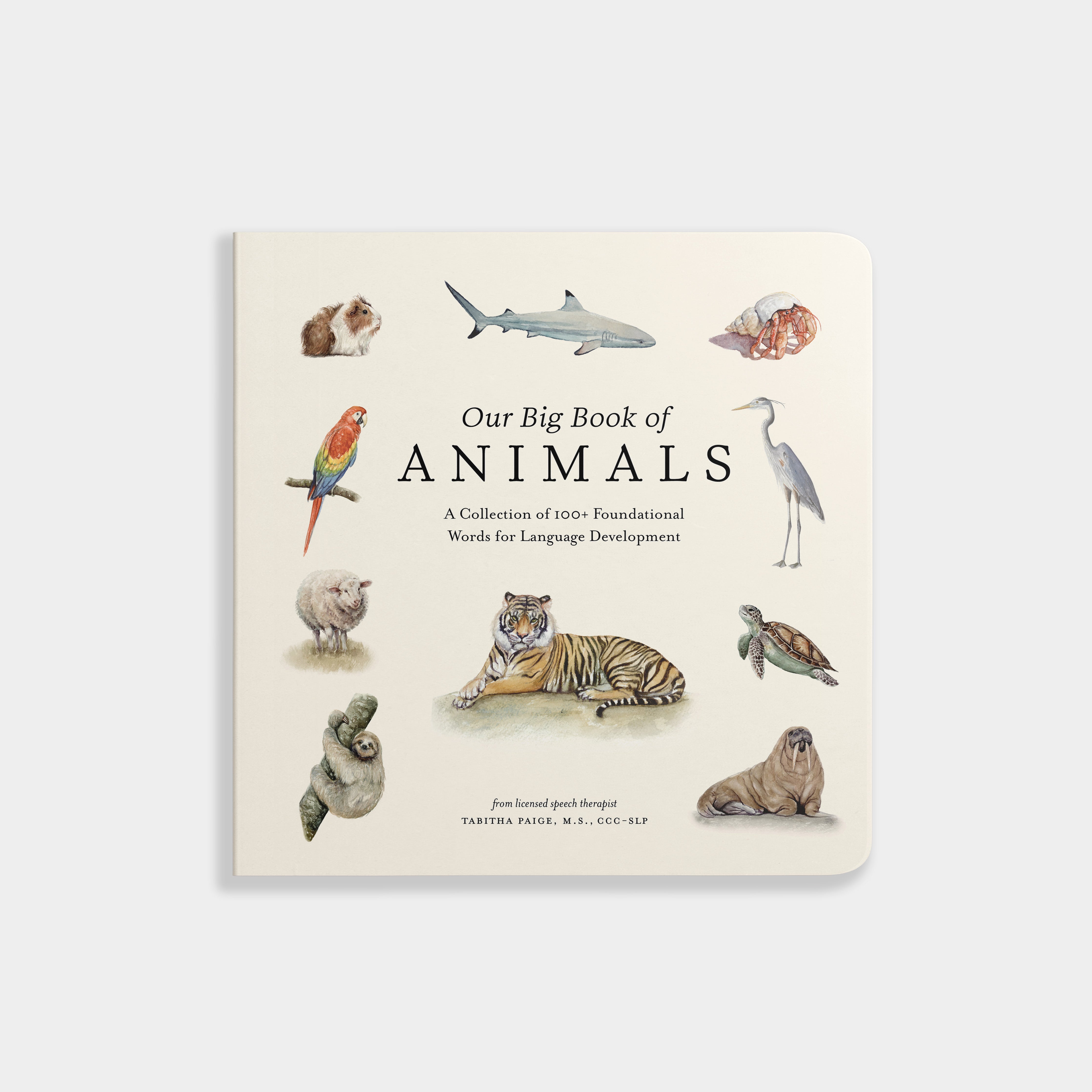 Our Big Book of Animals - Tabitha Paige