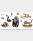 Our Big Book of Animals