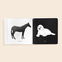 Baby's Black & White Contrast Book
