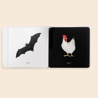Baby's Black & White Contrast Book