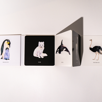 Baby's Black & White Contrast Book