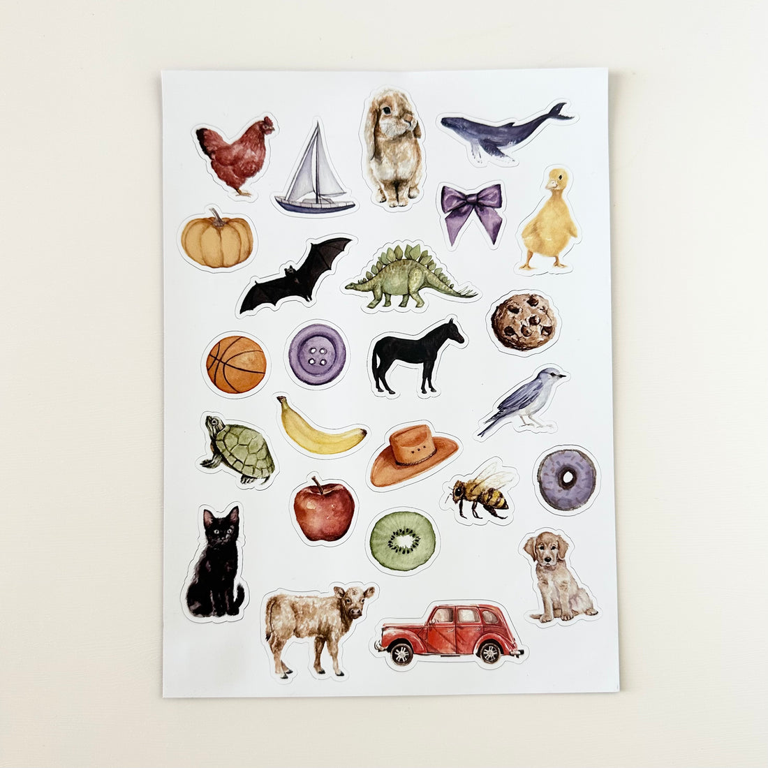 Wishy Washy Magnet Set