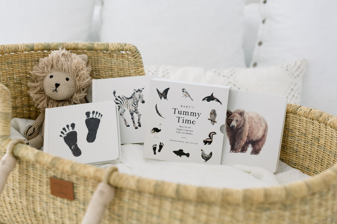 Baby's Tummy Time Book Box Set