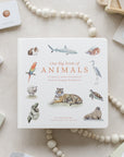 Our Big Book of Animals