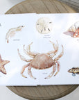 Our Big Book of Animals