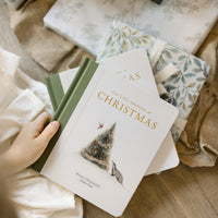 Our Little Adventure at Christmas