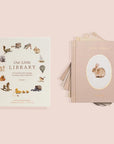 Our Little Library Book Set