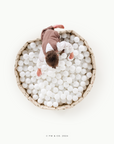 Ball Pit