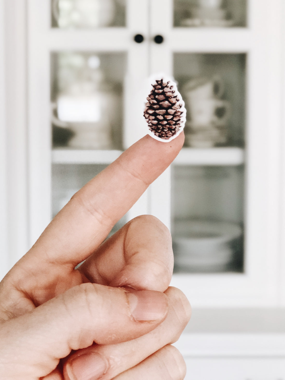 Forest Sticker Set (Our Little Adventures)