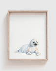Arctic Seal Art Print