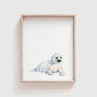 Arctic Seal Art Print