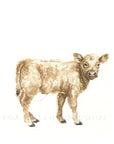 Brown Cow Art Print