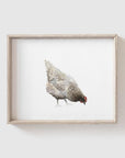 Chickens Art Print Set