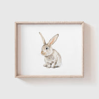Bunny No. 1 Art Print