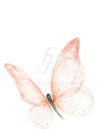 Pink Butterfly Art Print
