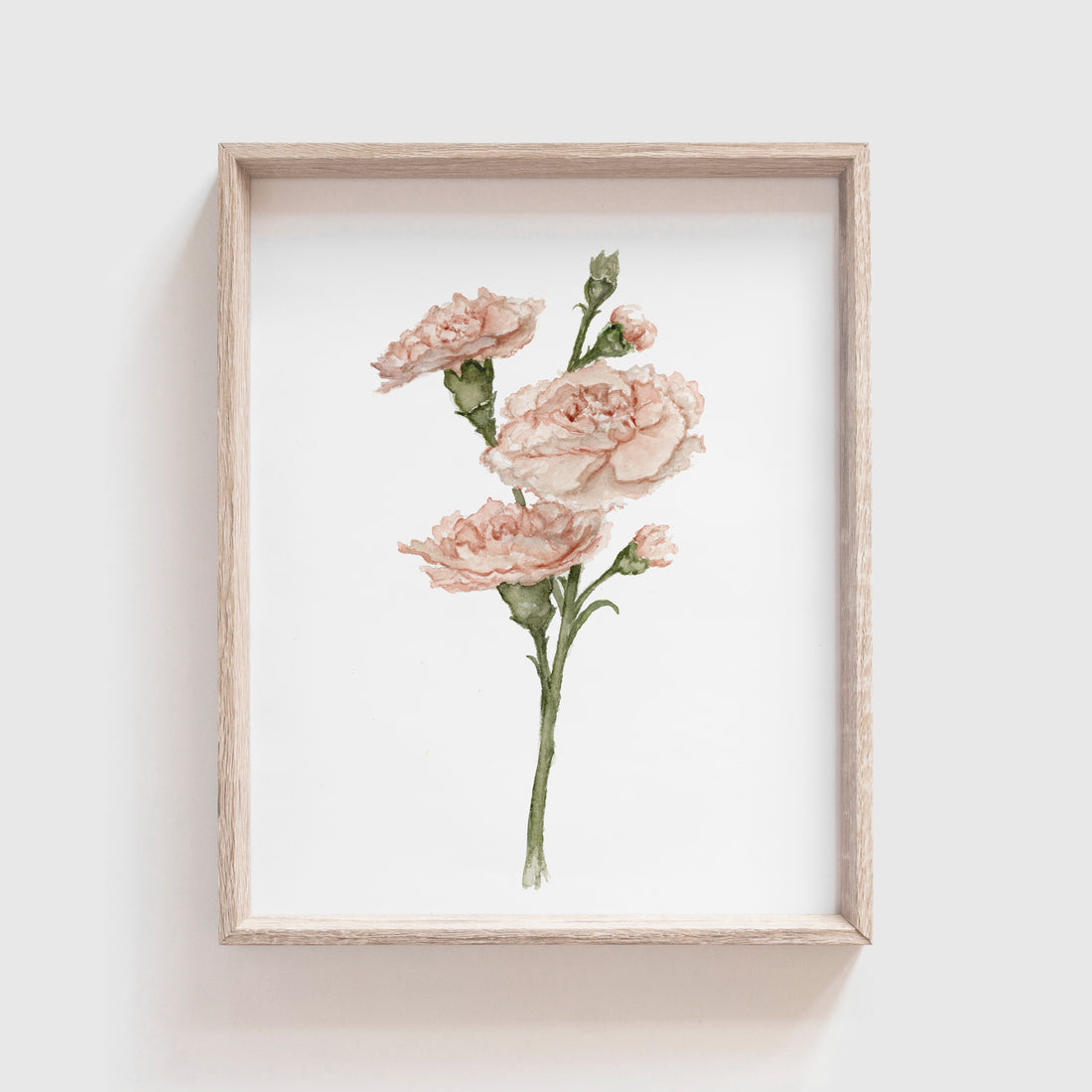 Carnation Art Print