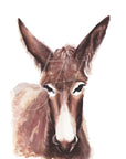 Donkey (Belle) Art Print