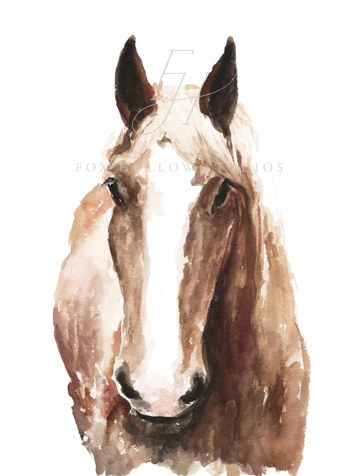 Horse Head Art Print
