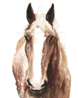 Horse Head Art Print