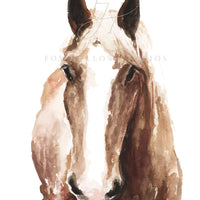 Horse Head Art Print