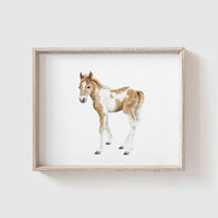 Farm Animal Art Print Set