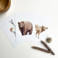 Animal Alphabet Cards