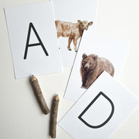 Animal Alphabet Cards