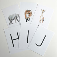 Animal Alphabet Cards