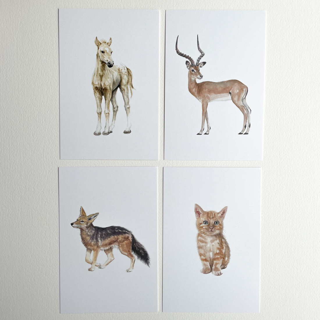 Animal Alphabet Cards