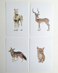 Animal Alphabet Cards
