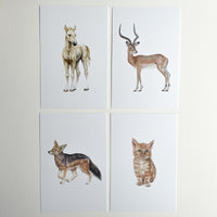 Animal Alphabet Cards