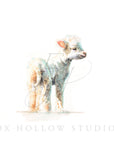 Lamb No. 1 Art Print