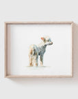 Lamb No. 1 Art Print