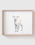 Lamb No. 2 Art Print