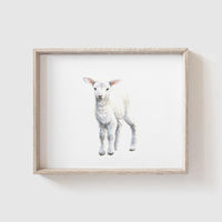 Farm Animal Art Print Set
