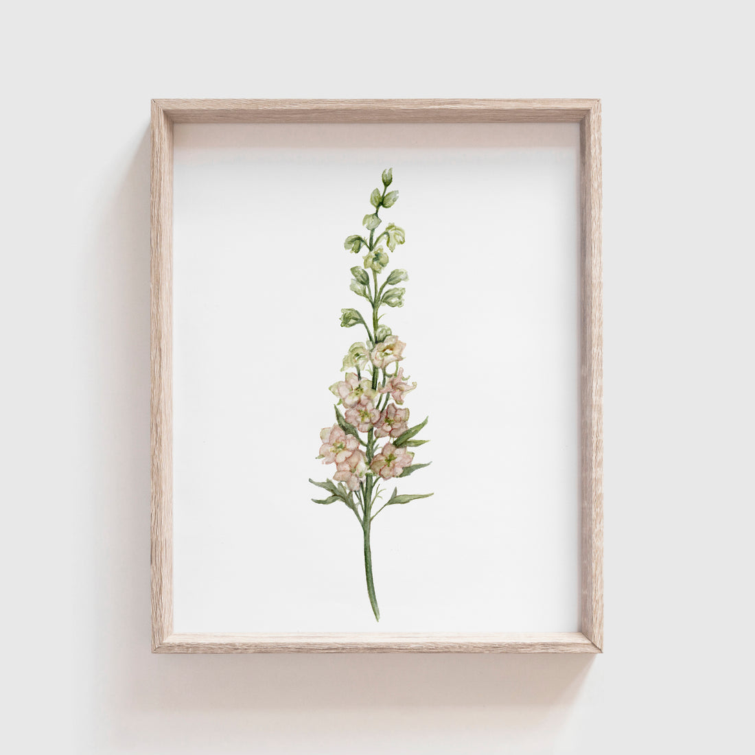 Larkspur Art Print