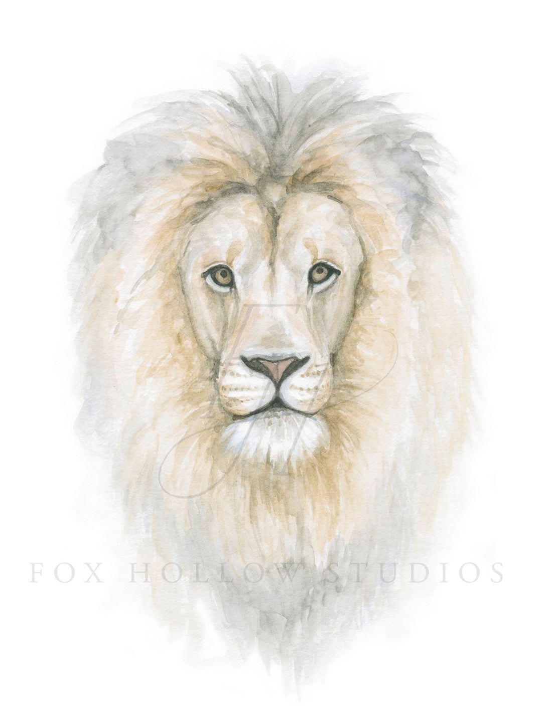 Lion Head Art Print