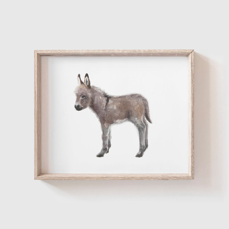 Baby Donkey Art Print