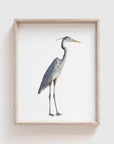 Blue Heron Art Print