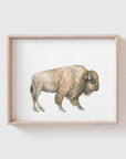 Buffalo Art Print