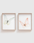 Pink Butterfly Art Print