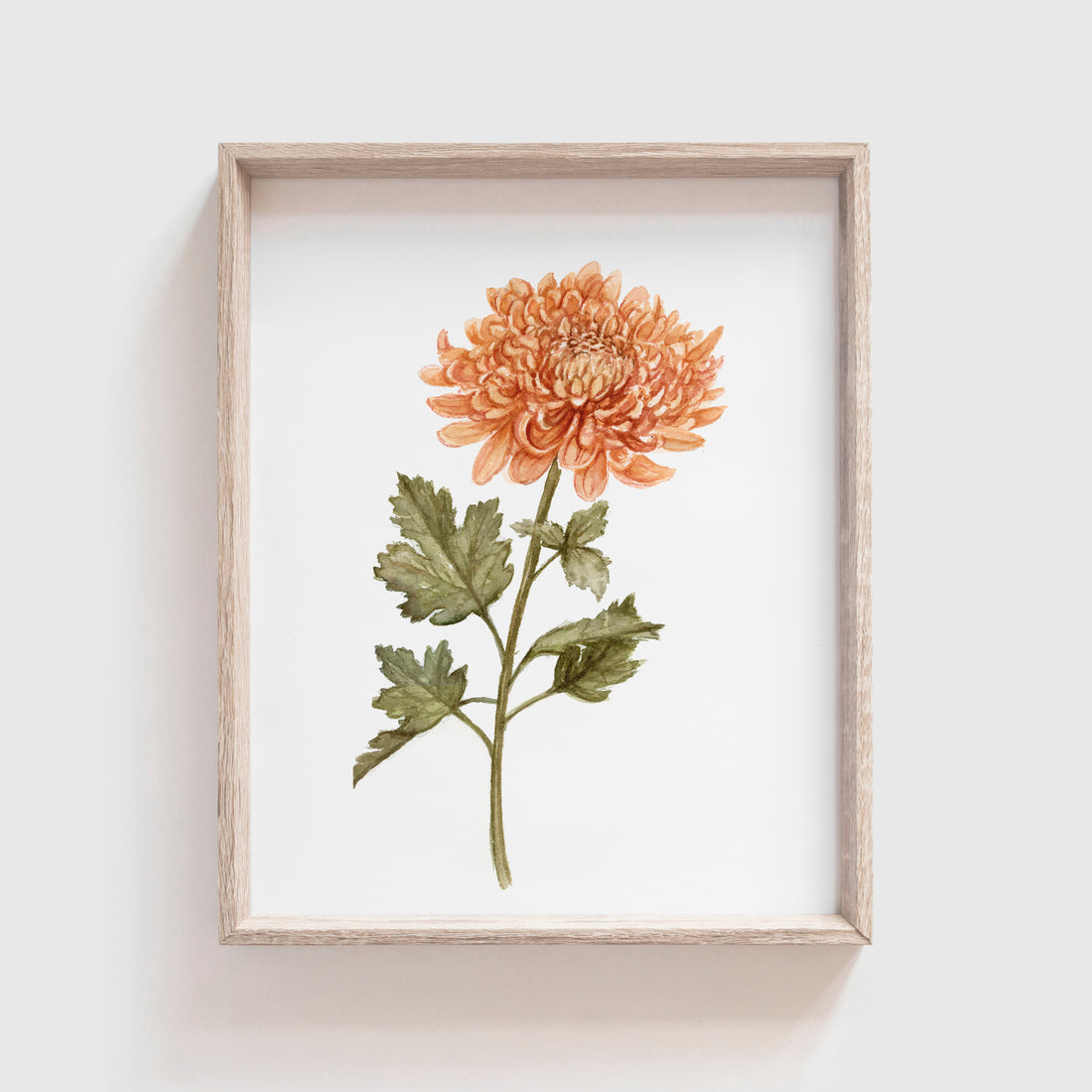Chrysanthemum Art Print