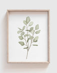 Eucalyptus Art Print