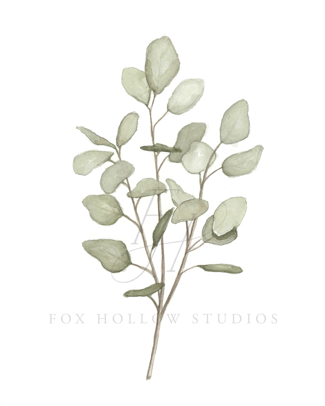 Eucalyptus Art Print