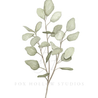 Eucalyptus Art Print