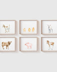Brown Cow Art Print