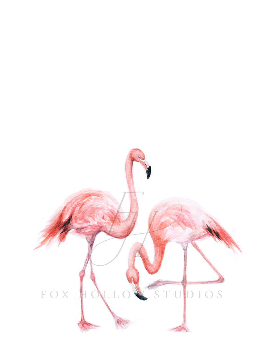 Flamingos Art Print